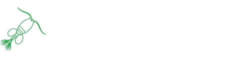 Copex UG